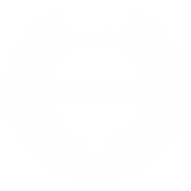 SDVOSB
